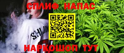apvp Будённовск